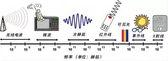 4个外星人来中国天眼（四个外星人吃怪可以进化的游戏） 第9张