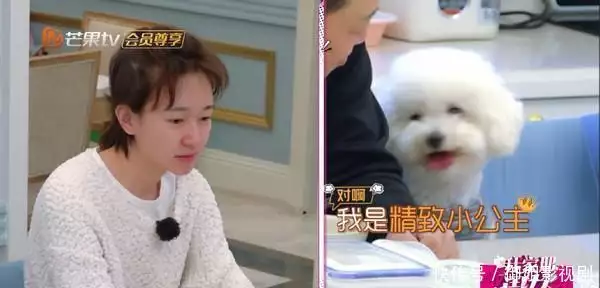 走进焦俊艳生活中的家，和父母一起攒钱买房，狗狗和家人同桌吃饭出道4年默默无闻，《与凤行》打酱油被关注，浓颜系长相很漂亮(图8)