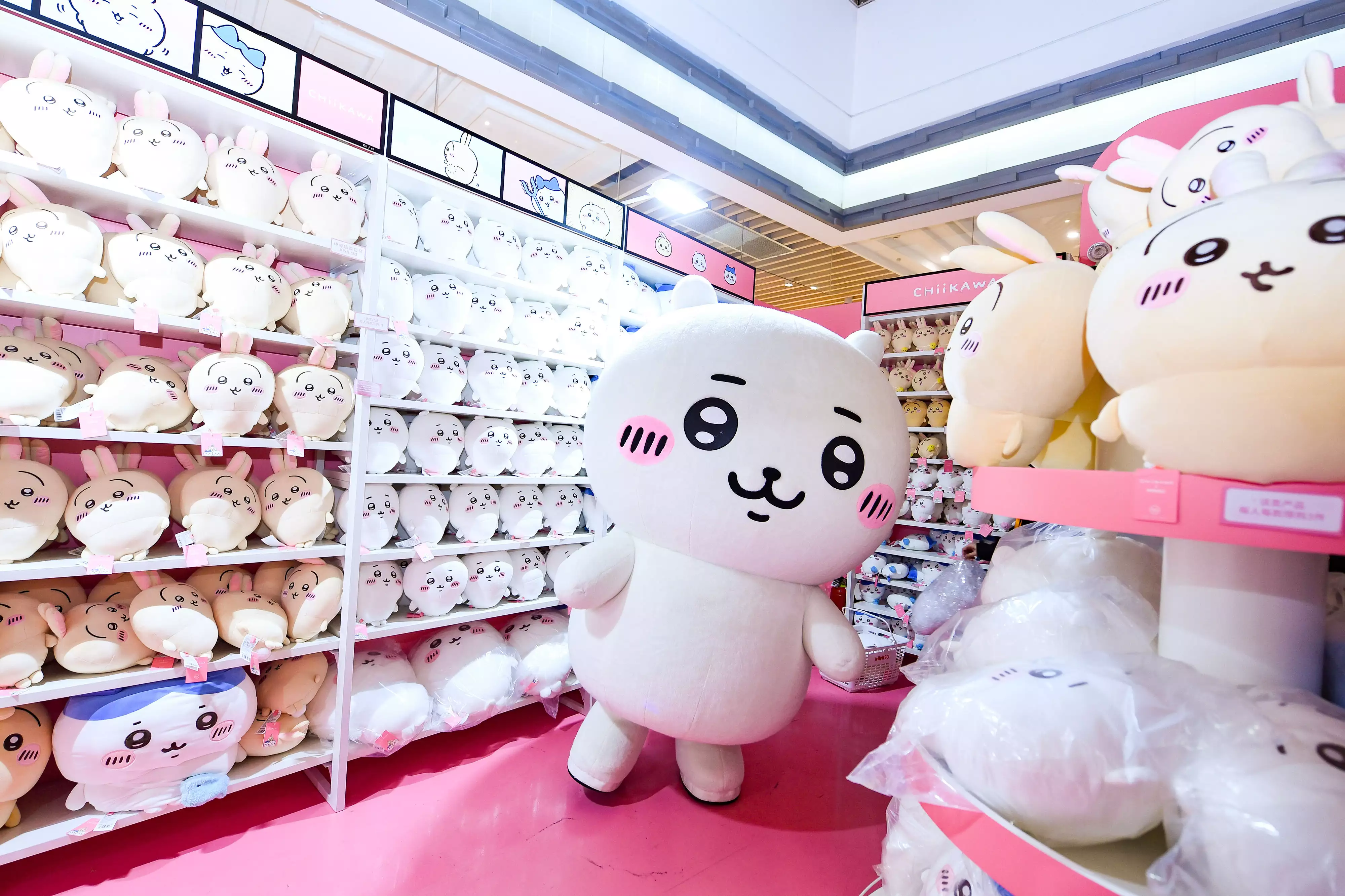 这都可以（名创优品加盟 条件 电话）Chiikawa全国首发！名创优品快闪店10小时卖了268万中国历史上与朝鲜这几次战役，确定了对方的国号并沿用至今？你怎么看？，毛绒公仔，