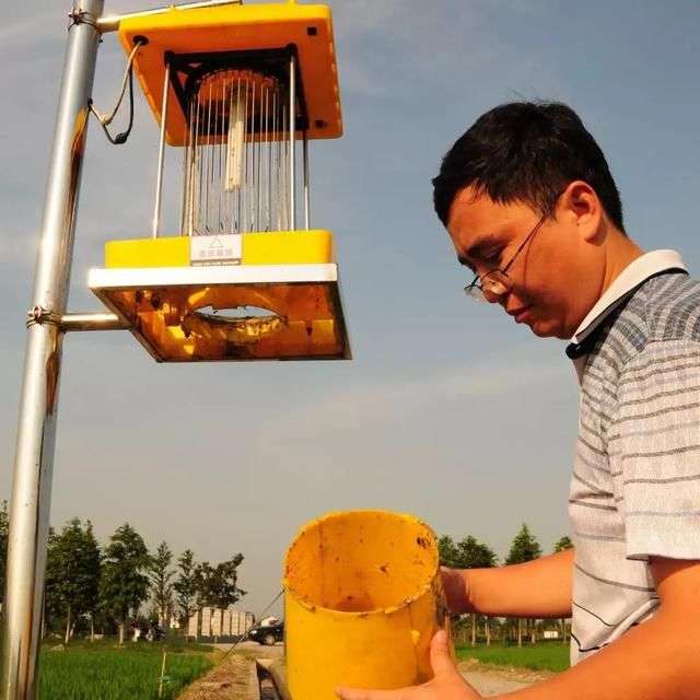 灯诱、色诱、性诱、生物导弹，这些绿色防控技术你都会吗？_【快资讯】