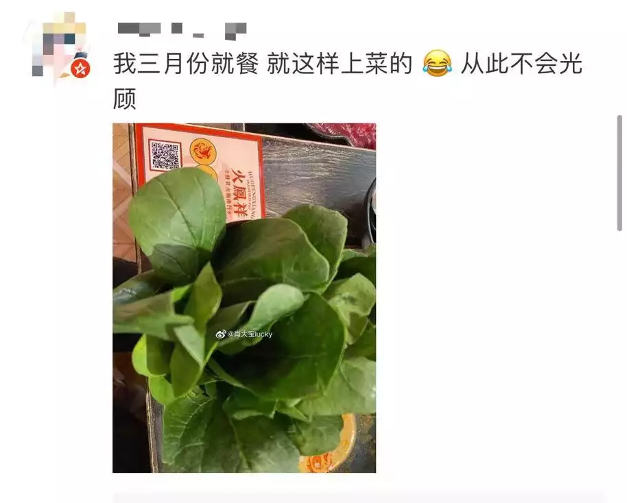 知名男演員的火鍋店道歉！后廚看吐了播報文章