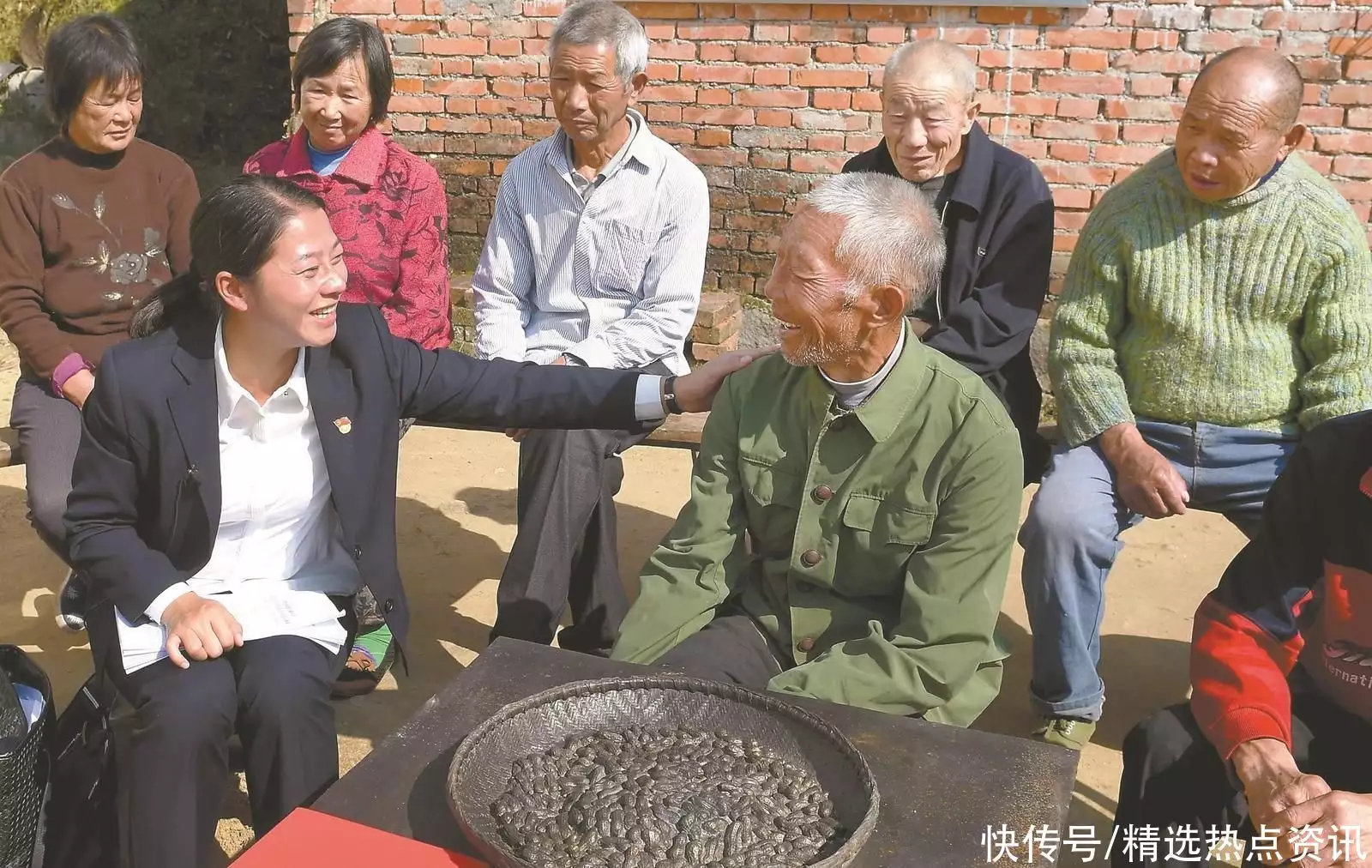 大花石上莲（大花石上莲与石上莲的区别） 第2张