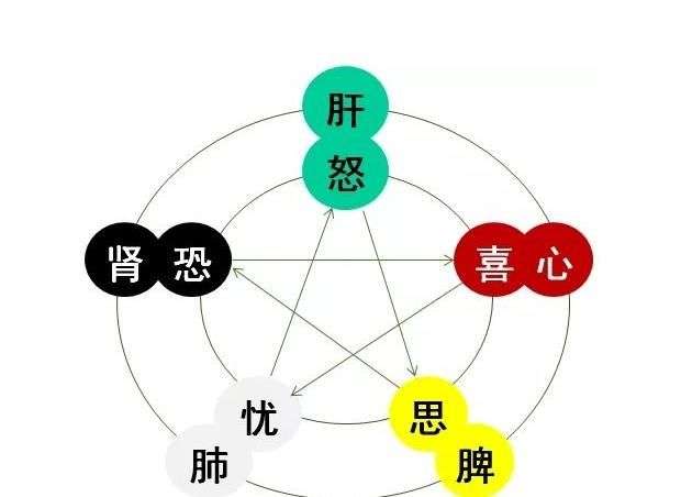 中医基础理论——情志与五脏的关系_【快资讯】