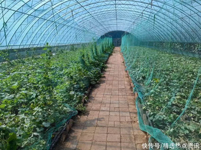 相约农博｜装上“科技芯” 长春农博会助力“新技术”进农田杨丽萍私生活糜乱，上厕所、洗澡全靠男助理，网友：现实版老佛爷插图6