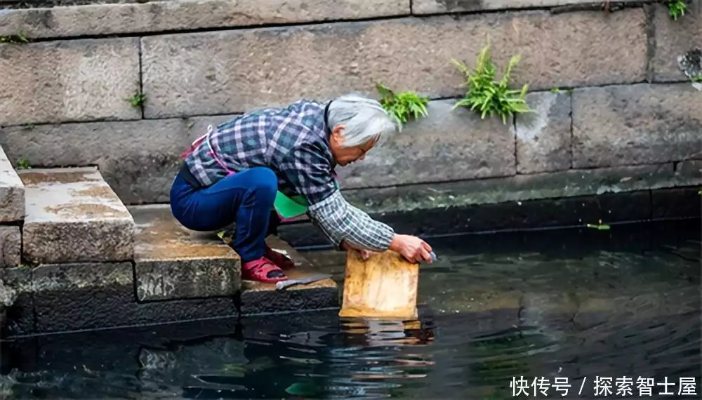 花开堪折直须折莫待无花空折枝全诗（花开堪折直须折莫待无花空折枝作者） 第4张