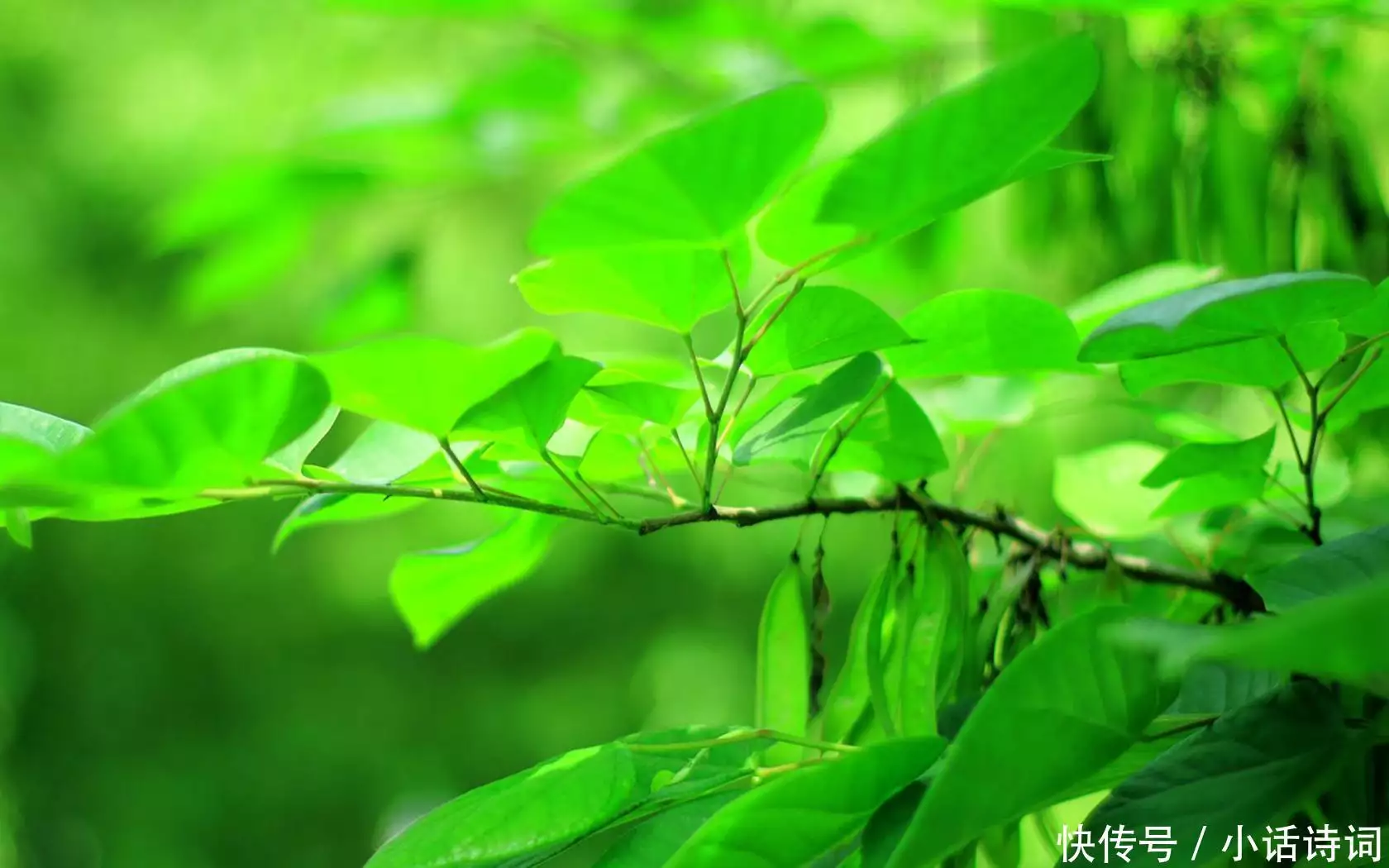 古人是怎样过夏天的？重读这6首写在夏天的古诗词，感受古人的夏日攻略这是我见过最有气质的外婆：60岁身材微胖却优雅，穿衣更温柔贵气 第11张