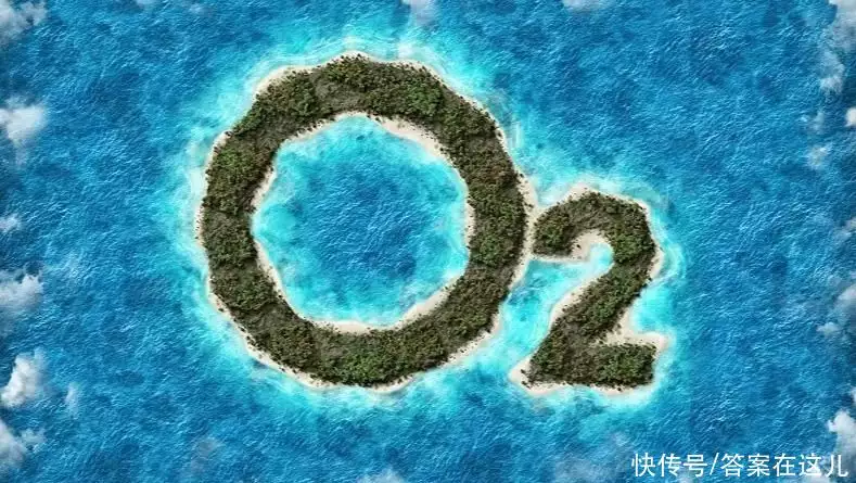 人类不能承受的真相（人类不能承受的真相有哪些） 第7张