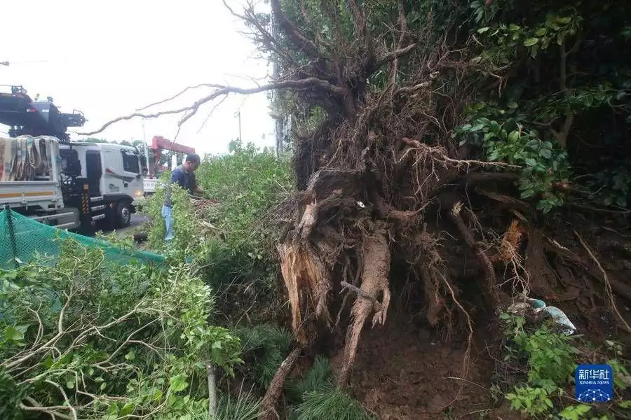 台风“轩岚诺”致韩国核电机组停转，日本多地受灾梦露死亡旧照：赤身俯卧在床，姿势古怪，44年后警方才公开她死因