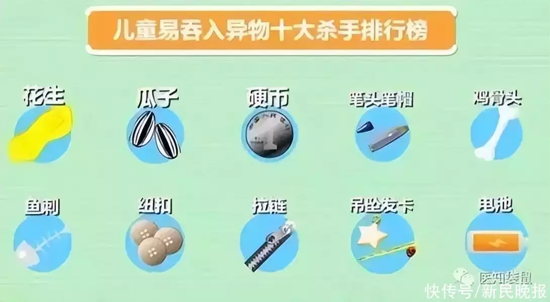 西瓜子是什么瓜的子（西瓜子属于什么结构） 第10张