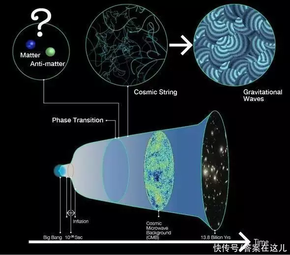 奇特的树（有哪些奇特的树和它们的特征相同） 第11张