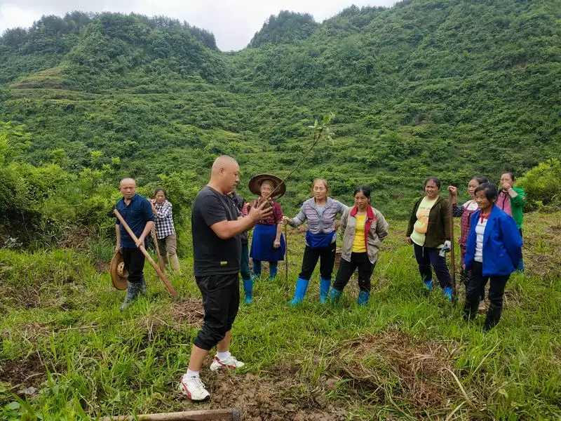 思南县兴隆乡：万亩油茶管护忙 群众致富乐洋洋优质“蛋白”排行榜，牛奶倒数第一，鸡蛋倒数第二，早餐学会吃