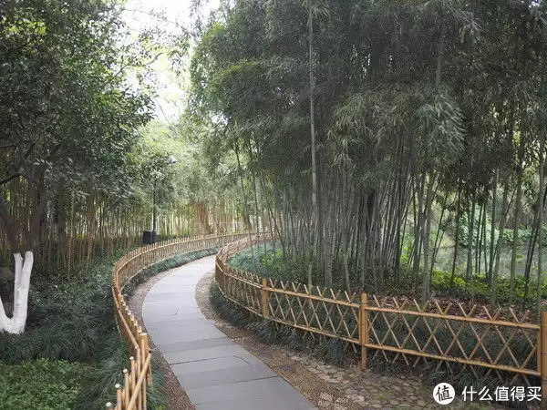 说走就走的一家三口杭州苏州六日游记（上：杭州篇）