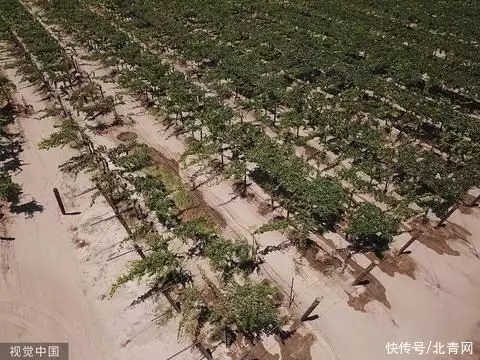 美媒：水井干涸，加州人靠桶装水生活卖淫行业竟成暴利行业，每年“性交易”14万亿，全球排名名列前茅