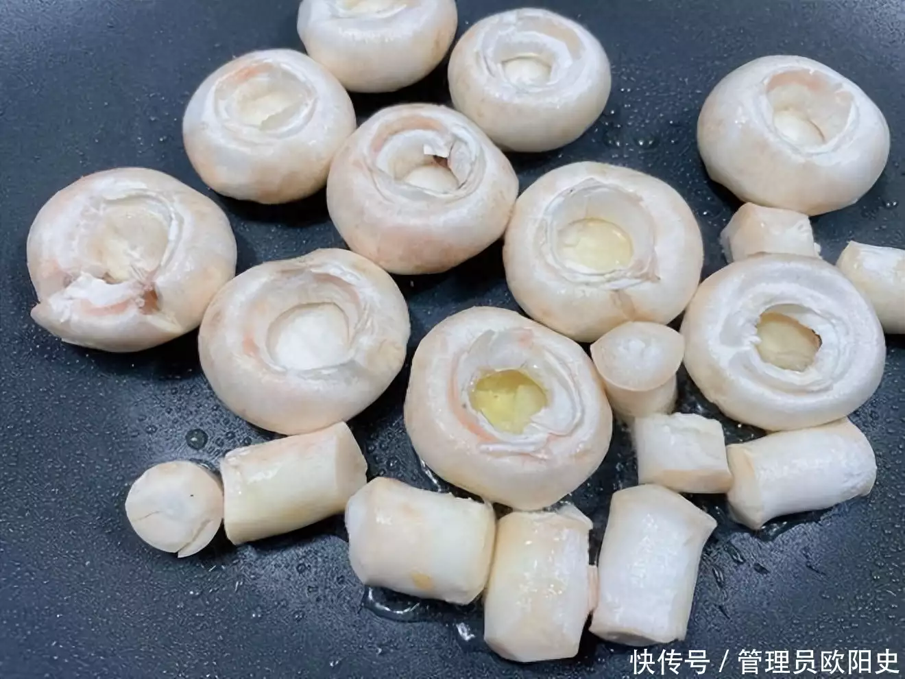 蘑菇（蕈菌形态特征） 第8张