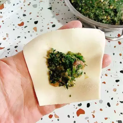 荠菜饺子馅怎么做好吃（荠菜饺子馅的做法视频） 第16张