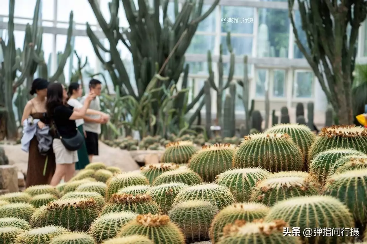 厦门“文艺之旅”，这些浪漫景点值得一看，攻略请收好！初中物理电学题的第一个拦路虎！解决了它，等于成功了一大半-第12张图片-旅游攻略网