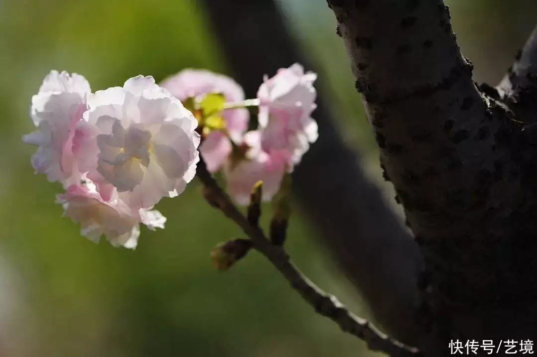 天下风物——《心中有阳光，满目皆温暖》风光题照