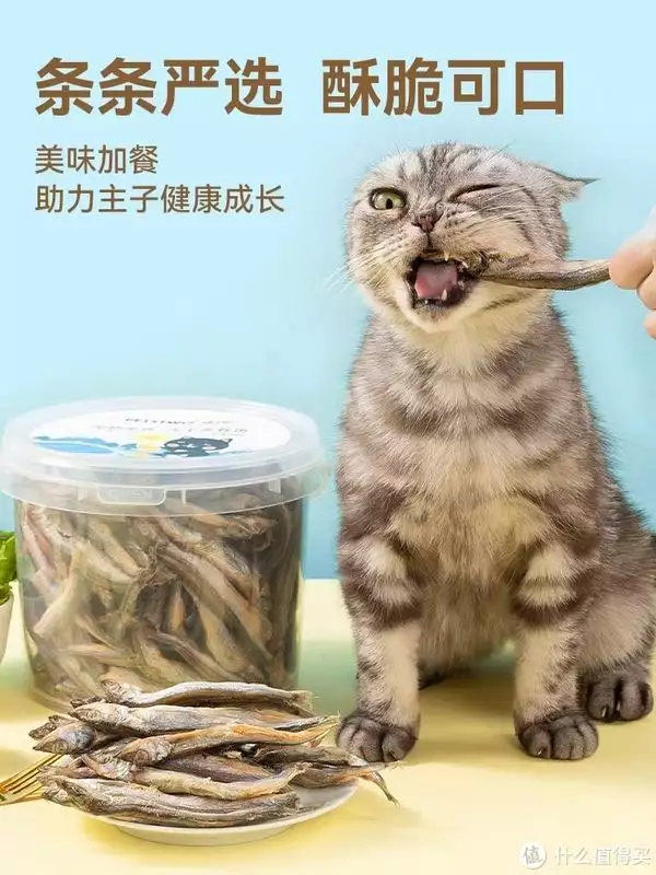 宠物用品选购经验分享：如何用最少的”