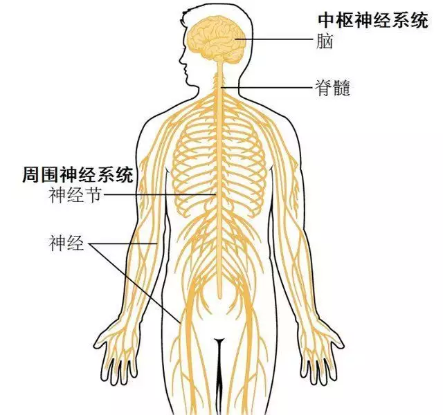 中国ufo三大悬案之一（走近科学中国ufo三大悬案） 第12张