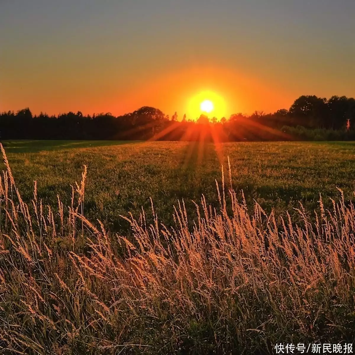 张大文：简笔勾勒 发人联想还记得《少林寺》中的牧羊女吗？如今身价过亿，年过半百依然很美