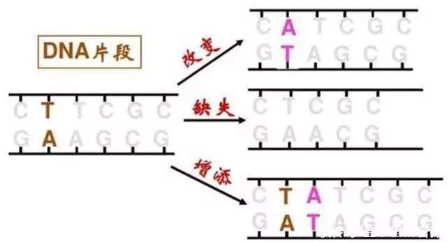 日本核电站福岛变异人（日本核电站福岛事件视频） 第11张