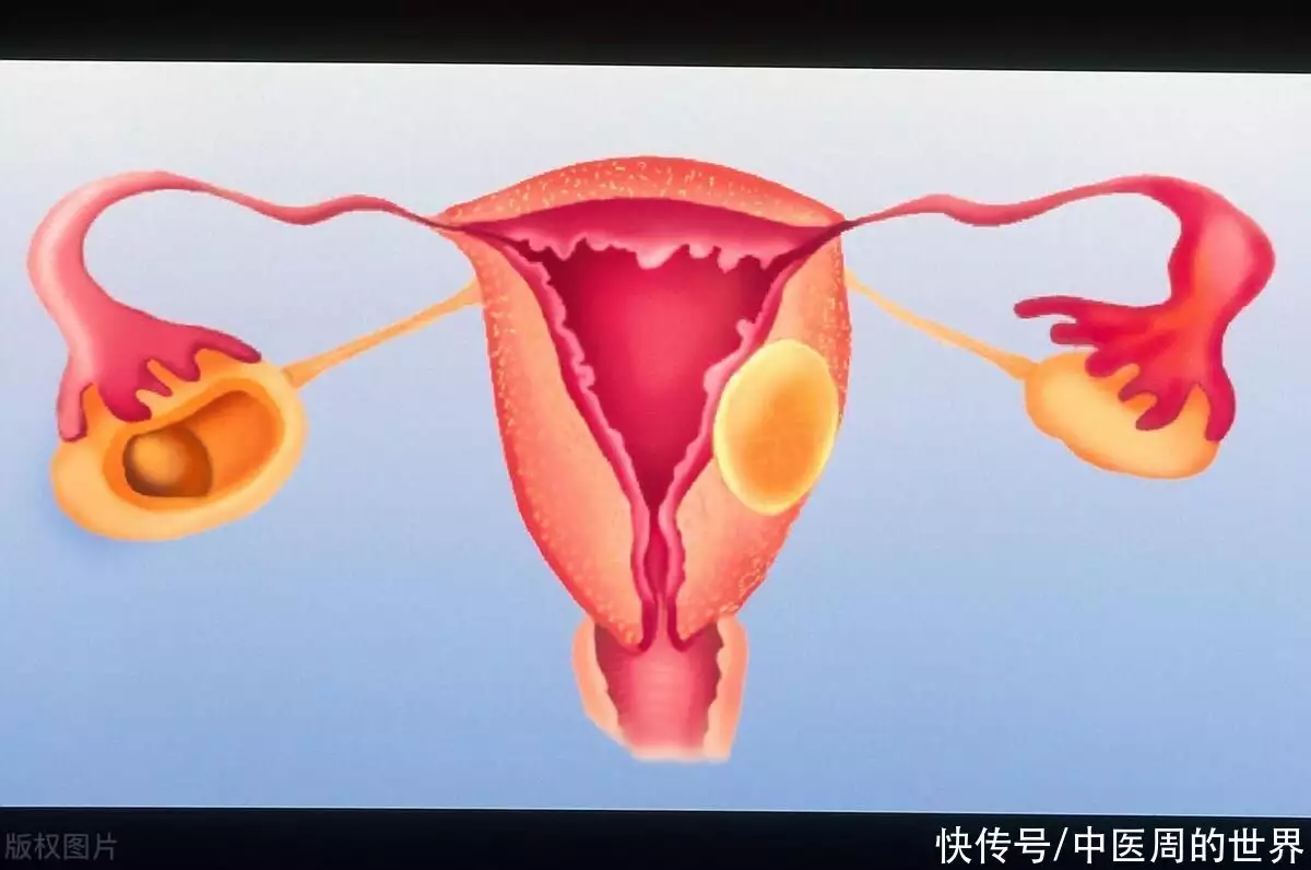 不看后悔（验孕棒两条线倒假还来）验孕棒两条线倒假还来月经 第3张