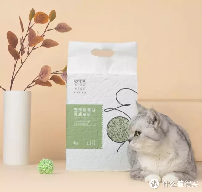 宠物猫专属享受：绿茶味除臭无尘猫砂的源起与优势骗了我们22年！原来她就是关晓彤亲生母亲，难怪她能红透大江南北