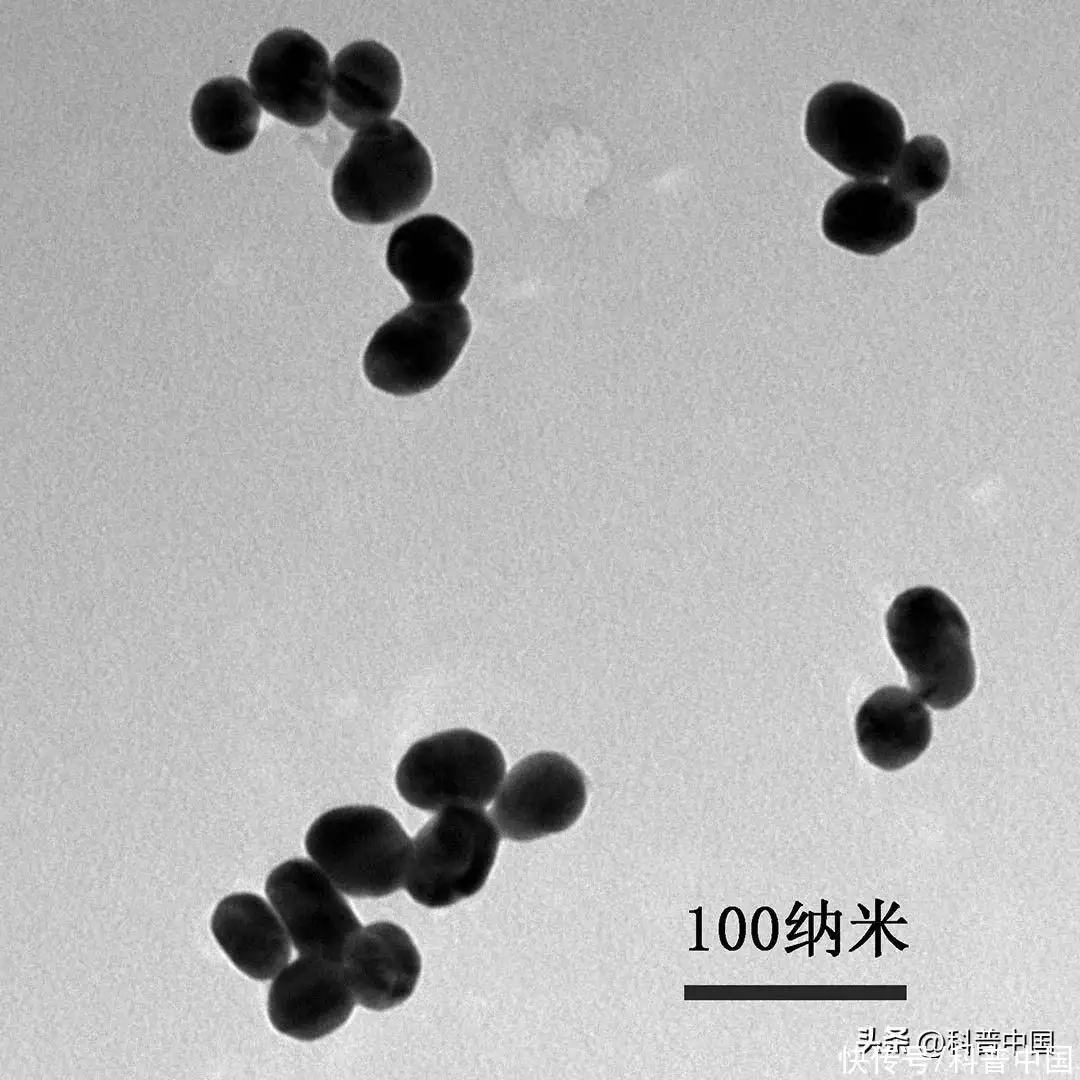 万万没想到（假验孕棒怎么称呼）假验孕棒怎么做孕红素可以 第6张