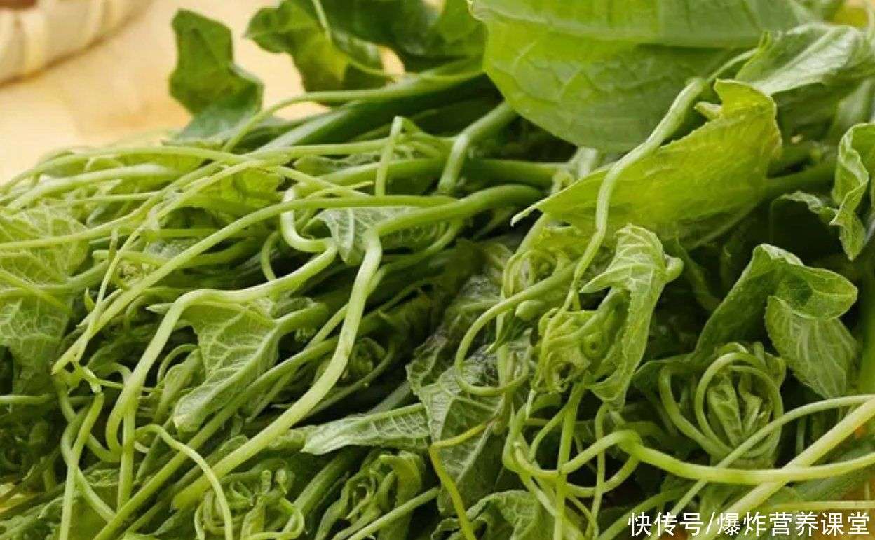 夏天的丝瓜全身都是宝贝!它的藤、尖、络、皮、肉,都别浪费