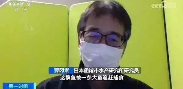 日海岸现死鱼 官员称与核污染水无关（日本核废水导致海洋生物死亡） 第3张