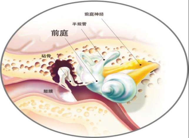得了大前庭导水管综合征就等于是听力为零吗?_【快资讯】