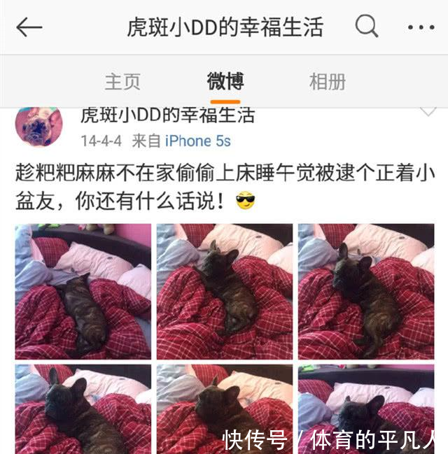 网曝杨慧在家用摄像头拍到宋喆马蓉床照,知情人曝光真相!