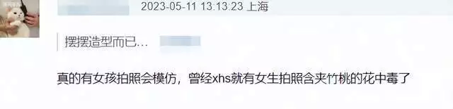 孙俪最新杂志大片惹争议，嘴叼有毒道具摆姿势，网友担心不良引导拿千万片酬却用三十多个替身，拍戏只会读123，骑马都骑人脖子插图24