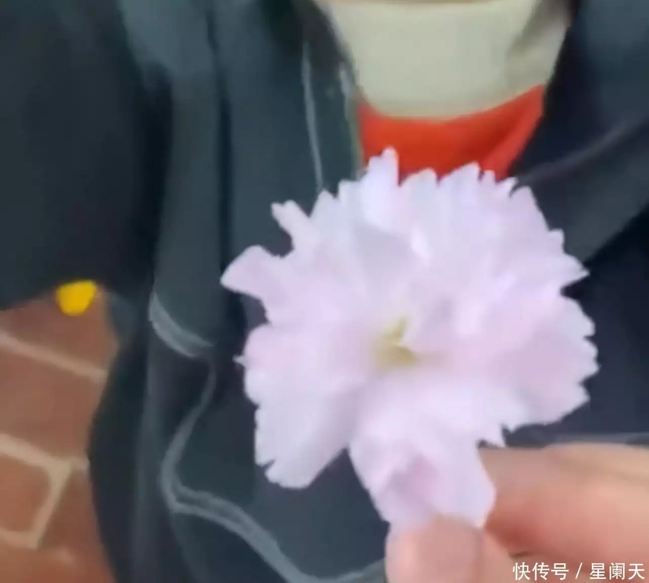 安徽一幼儿园男生清明节给老师送花,老师:当时心里就咯噔了一下布尔战争的失败,预示着大英帝国走向衰败 安徽一幼儿园男生清明节给老师送花,老师:当时心里就咯噔了一下布尔战争的失败,预示着大英帝国走向衰败