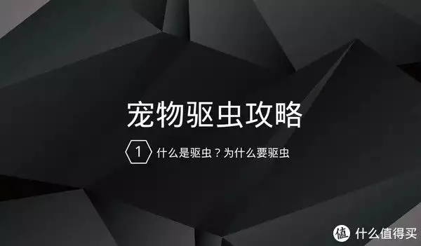 一些猫猫狗狗的知识 篇一：宠物驱虫攻略（1）什么是驱虫？为什么要驱虫？抗日神剧再现超短裙, 女兵还穿成这样? 网友: 请尊重一下历史