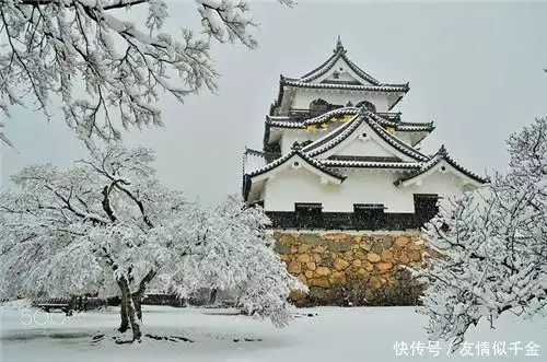 跟棉花有关的非遗（棉花花的名字） 第3张