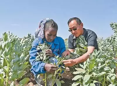 共建“一带一路”增进各国民生福祉（共建一带一路） 第6张