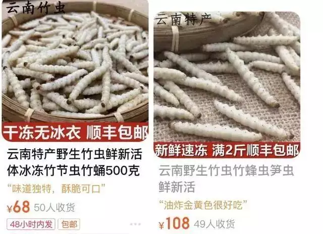 烧烤60种食材（烧烤60种食材锡纸烧烤撒芝士） 第4张