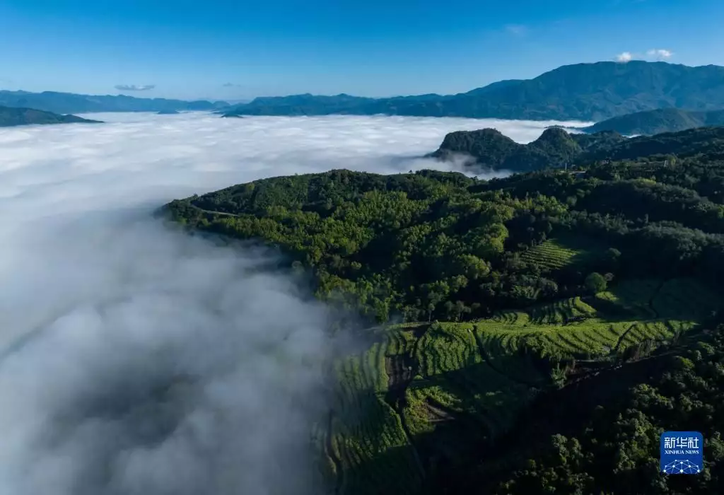 不看后悔（苍茫云海间）苍茫云海间的上一句诗句是什么 第6张