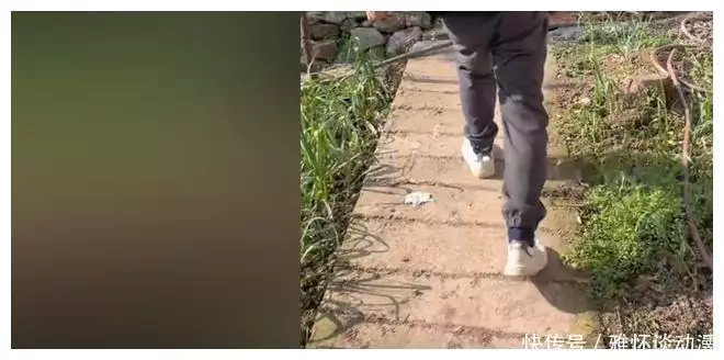 现场直播带货3天赚117万,网红毅玲爸爸已改名,他说用自己的流量助农31岁在央视春晚一举成名,观众都以为他退隐了,其实已经去世10年了(图9) 现场直播带货3天赚117万,网红毅玲爸爸已改名,他说用自己的流量助农31岁在央视春晚一举成名,观众都以为他退隐了,其实已经去世10年了(图9)