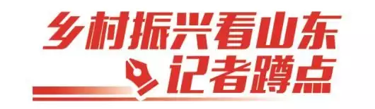 乡村振兴看山东·记者蹲点丨荣成:“两条鱼”游出百亿产业链中国56式弹匣携行袋:简单粗暴却合理,开辟了步枪弹匣胸挂的先河