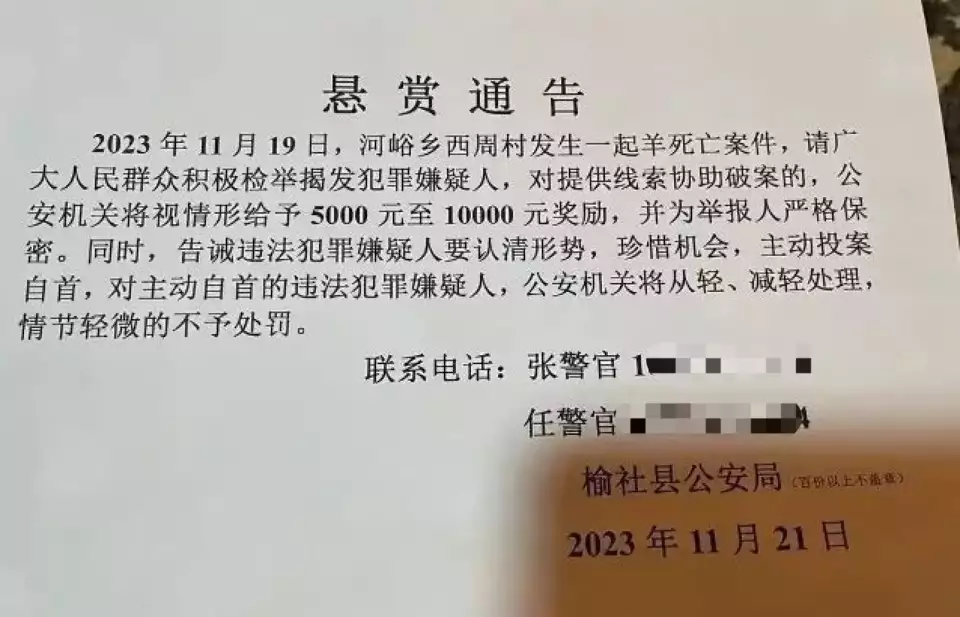 80余只羊田间中毒死亡 警方发悬赏（羊中毒死亡一般是什么症状表现） 第2张