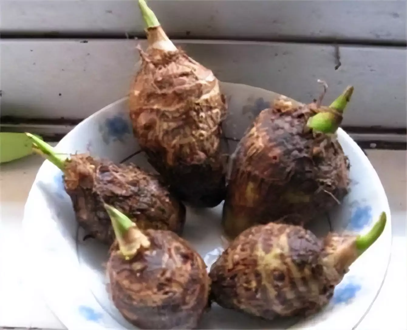 芋艿发芽能吃吗（山芋发芽能吃吗） 第6张