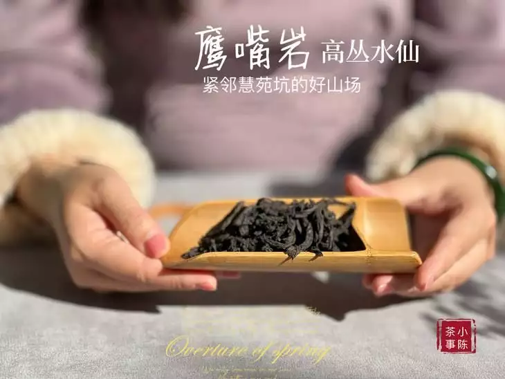 元旦买茶送礼，怎么送才不会出错？老茶客教你3点挑选细节  第7张