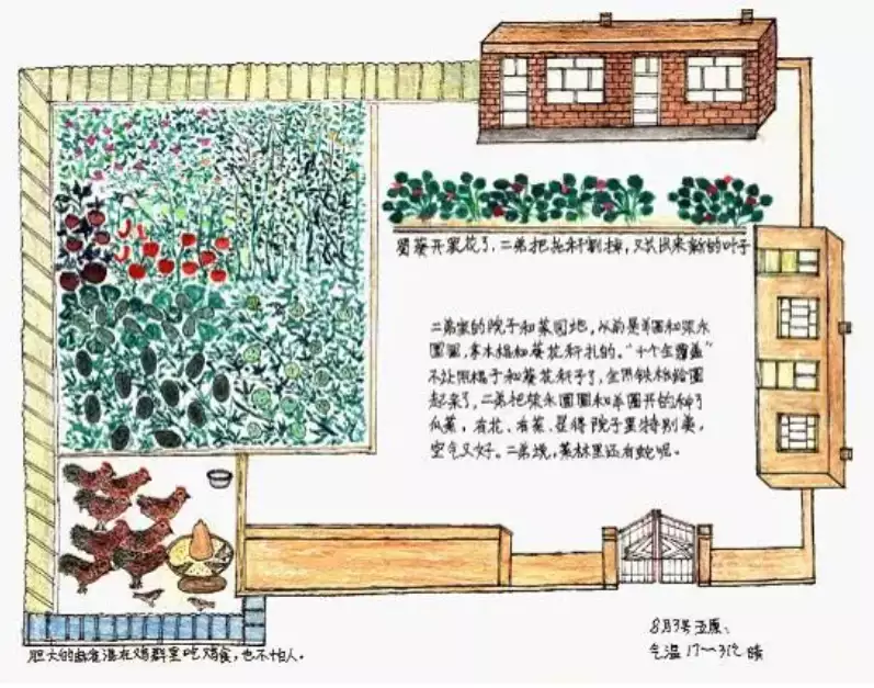 甘草种子（甘草种子种植技术） 第11张