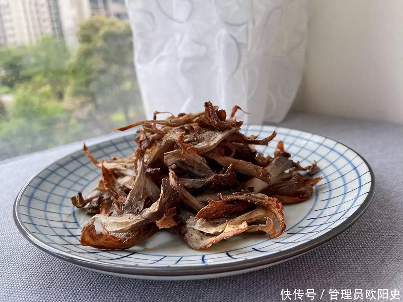 蘑菇（蕈菌形态特征） 第16张