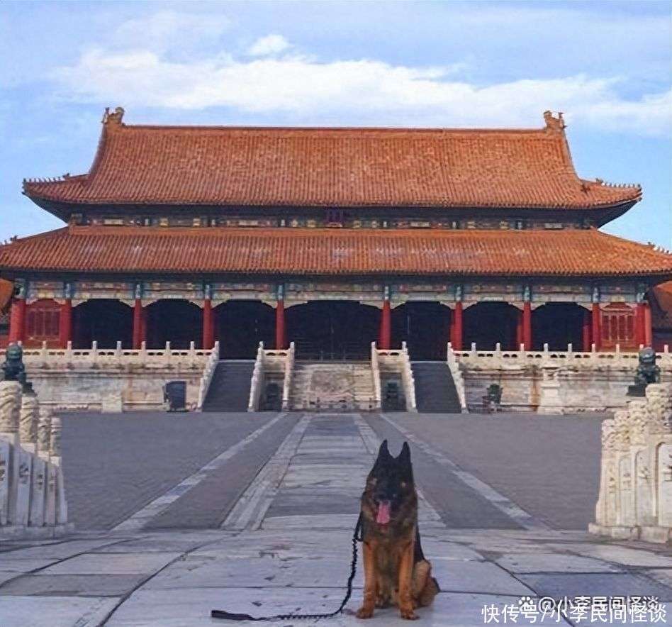 民间怪谈:故宫晚上为什么放狗_【快资讯】