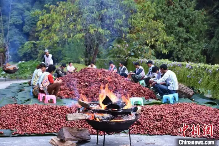 什么是草果（草果调料是起什么作用的）