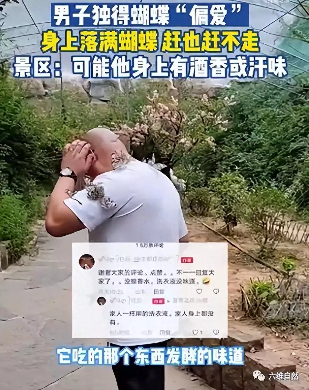 男版香妃 游客引来蝴蝶落满身（香妃起舞） 第2张