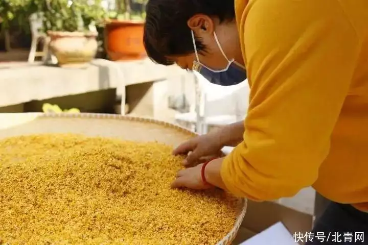 桂花膏（桂花膏怎么熬制的窍门图片） 第17张